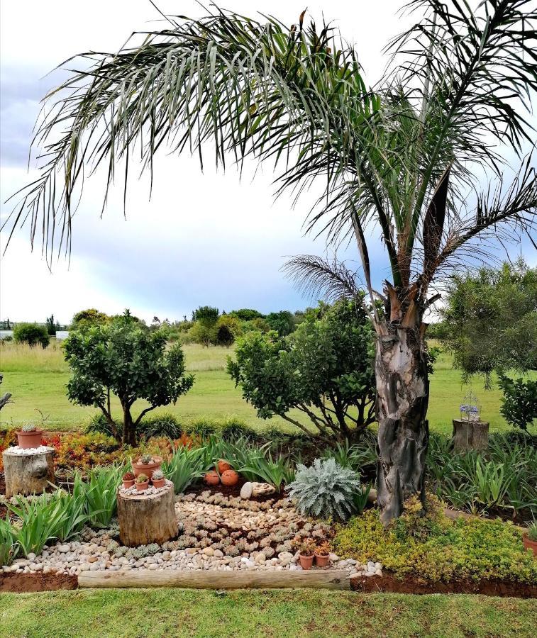 Safe Haven Guesthouse Bloemfontein Exterior photo