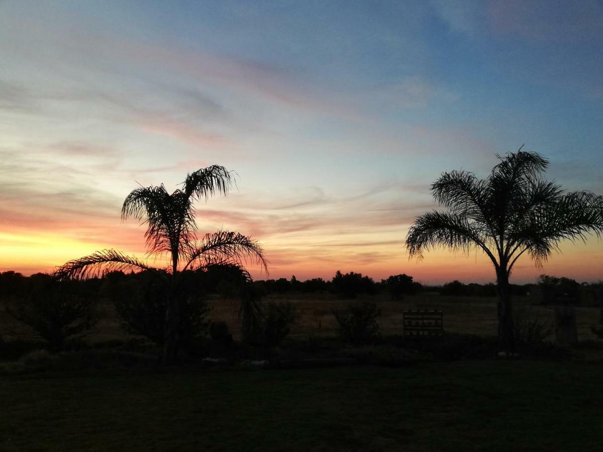 Safe Haven Guesthouse Bloemfontein Exterior photo